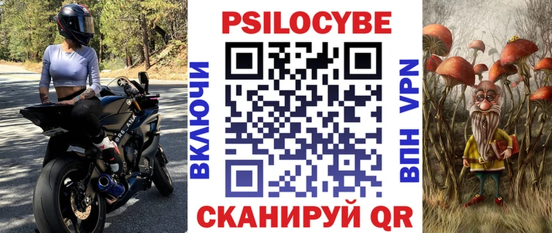 Галлюциногенные грибы Psilocybine cubensis  нарко площадка официальный сайт  Бакал 